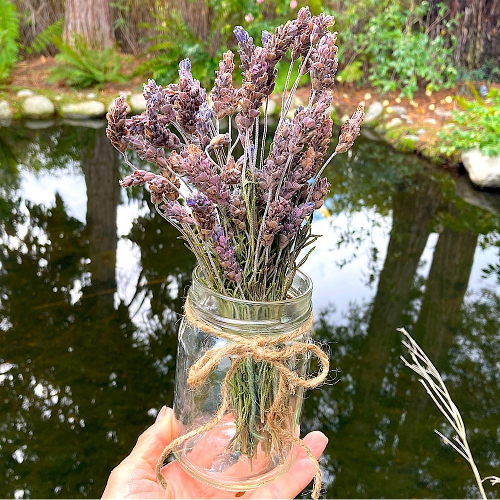 Dried Lavender Bouquet Jar Gift Organic Hand Crafted New - Picture 3 of 12